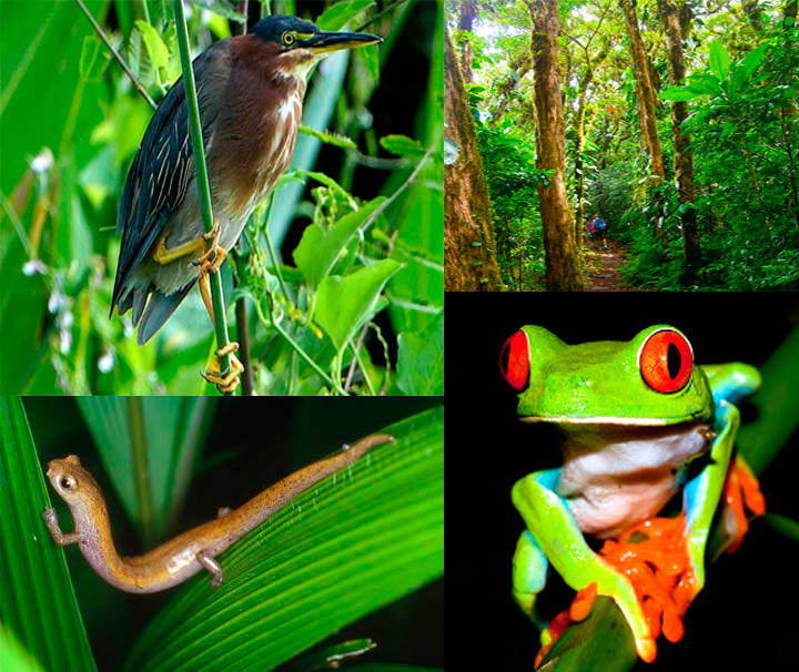 placeholder image-sq